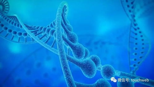 加立生物沖刺港股 9個月虧損4433萬，林帝邦為大股東，生物技術開發成焦點