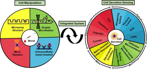 基于微流體系統(tǒng)的單細胞生物檢測技術(shù)的發(fā)展與展望