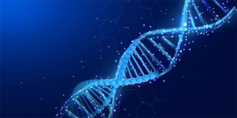 微生物DNA的悄然讀取 生物技術(shù)開發(fā)中的細胞與微生物“偶遇”